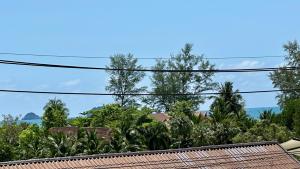 Naturlandskabet i nærheden af bed and breakfast-stedet