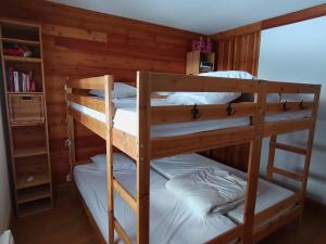 - une chambre avec 2 lits superposés dans une cabine dans l'établissement Appartement spacieux et lumineux, accès direct pistes, animaux acceptés - FR-1-445-17, à Montgenèvre