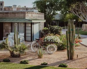 Zahrada ubytování Arizona Biltmore, LXR Hotels & Resorts