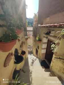 RodioにあるIrisの建物の脇に鉢植えが置かれた路地 +30枚の写真