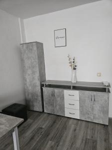 a kitchen with a sink and a counter in a room at Zimmervermietung Schöne Gasse 6 in Freiberg +22 photos
