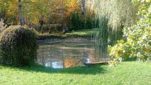 a pond with a bird sitting in the grass at Atpūtas māja Liepalejas in Stacija Vatrāne