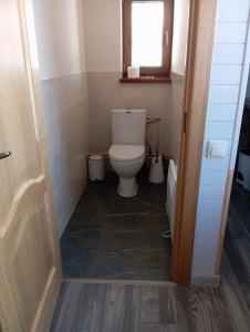 a small bathroom with a toilet and a window at Atpūtas māja Liepalejas in Stacija Vatrāne +9 photos