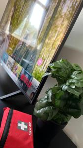a plant sitting on a table next to a window at The Ol-Mumps Cozy Corner in Oldham +30 photos