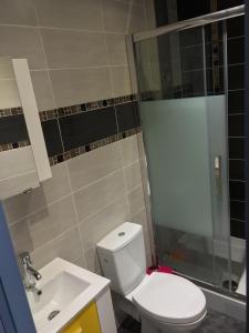 a bathroom with a toilet and a shower and a sink at Appartements Bordeaux Saint Michel in Bordeaux