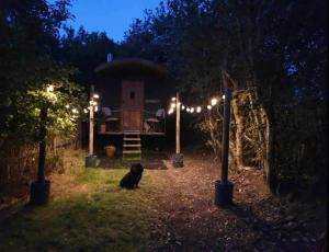 Sodas prie apgyvendinimo įstaigos Hide and Sheep Shepherds Hut