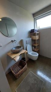 Oud-AdeにあるHut-Spot, comfortabel houten tuinhuisのトイレ、洗面台、鏡のあるバスルーム