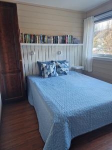 ein Schlafzimmer mit einem Bett und einem Bücherregal in der Unterkunft Storehorn Apartments Hemsedal in Fausko