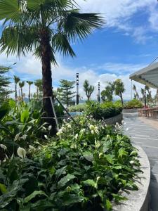 Aed väljaspool majutusasutust Alacarte condo - right on beach - high floor