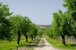 a dirt road lined with trees in a field at Villa Andrè with private pool in Val di Noto in Noto