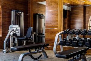 a gym with two rows of exercise bikes and weights at Hilton Dubai The Walk in Dubai