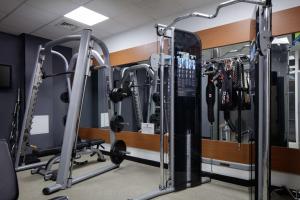 Fitness centrum a/nebo fitness zařízení v ubytování Hilton Leeds City