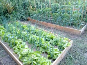 Jardín al aire libre en A Cantaruxa Maruxa Turismo Rural