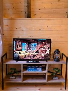 TV a/nebo společenská místnost v ubytování Domaćinstvo Krstajić - Rural holiday