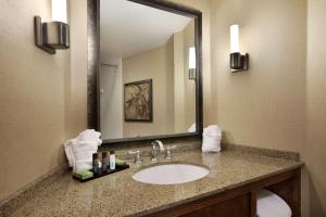 Koupelna v ubytování Embassy Suites by Hilton Bloomington/Minneapolis