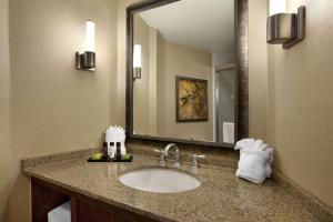 Koupelna v ubytování Embassy Suites by Hilton Bloomington/Minneapolis