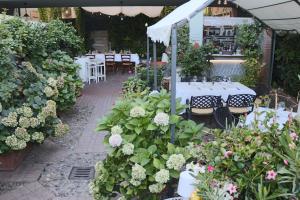 Aed väljaspool majutusasutust Albergo & Ristorante Selvatico