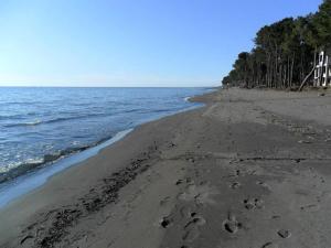 a beach with footprints in the sand next to the water at Villa MD Grigoleti in Grigoleti +23 photos