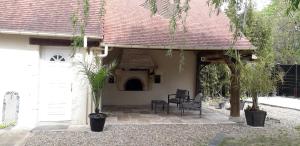 a house with a patio with two chairs and trees at Le petit gîte de Beauval in Mareuil-sur-Cher