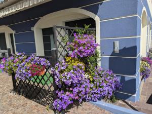 Zahrada ubytování Apartments Giovannini