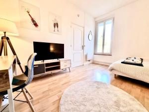 un salon avec une télévision et un canapé dans l'établissement Mont d'arène superbe appartement proche gare, à Reims