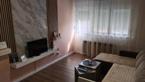 TV a/nebo společenská místnost v ubytování Lela's home (Lelin dom)