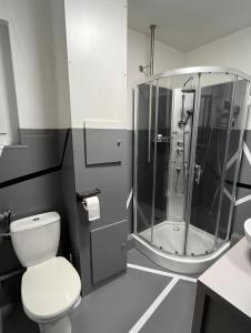 a bathroom with a shower and a toilet and a sink at Elegant & Peaceful - Private Parking in Mulhouse