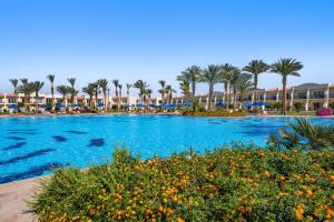 Piscine de l'établissement DoubleTree by Hilton Sharks Bay Resort ou située à proximité