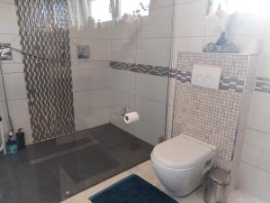 a small bathroom with a toilet and a shower at G-stay in Houthalen-Helchteren