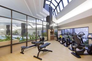 Fitness centrum a/nebo fitness zařízení v ubytování Hilton Tokyo Hotel