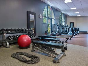 DoubleTree by Hilton Hotel Orlando at SeaWorld的健身中心和/或健身设施
