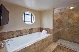 DoubleTree by Hilton Hotel Orlando at SeaWorld的一间浴室