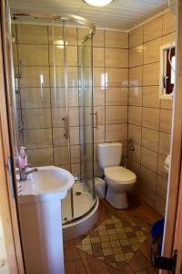 a bathroom with a toilet and a sink and a shower at Zielona Ostoja in Jezierzany