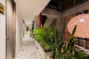 Fotografie z fotogalerie ubytování Apartahotel con Piscina v destinaci Medellín