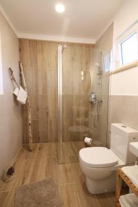 a bathroom with a toilet and a shower at Casa Tasha in Dunavăţu de Jos
