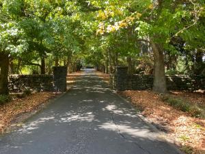 KumeuWillows Reach Lodge的一条绿树成荫的、有石墙和树木的道路