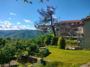 Φυσικό τοπίο κοντά σε αυτό το διαμέρισμα