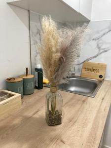 un barattolo di vetro con piante secche su un bancone della cucina di Maison du lavoir a Villemur-sur-Tarn