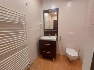 a bathroom with a sink and a toilet and a mirror at Apartman Panorama 329 in Štrbské Pleso +12 photos
