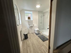 a bathroom with a shower and a toilet and a sink at Cil-y-Coed in Dolgellau +29 photos
