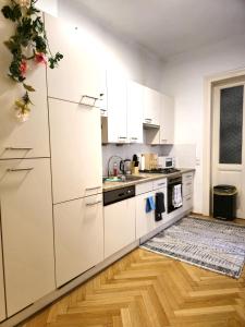Kuchyň nebo kuchyňský kout v ubytování Apartment near Schönbrunn Palace