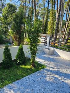 Zahrada ubytování NinosVilla (Shekvetili\Kaprovani) 70м до моря