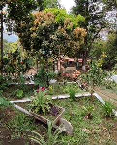 Ảnh trong thư viện ảnh của Stay and Spanish ở Minca