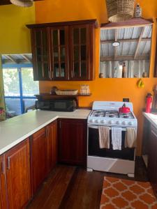 ベリーズシティにあるHowler Jungle Cabanas Belizeのキッチン(コンロ、木製キャビネット付)