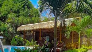 a resort with a palm tree and a swimming pool at Hostal Los Arhuacos in Santa Marta