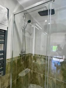 a shower with a glass door in a bathroom at Villa Emilio Foz in Foz +23 photos