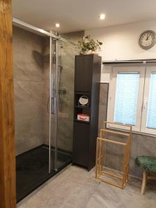 a shower with a glass door in a bathroom at Familienfreundliche grüne Oase im Essener Süden in Essen