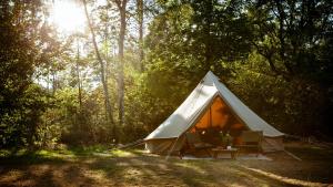 德瓦尔Eco Farm Camping 'de Waeldernis'的森林中带桌椅的帐篷