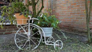 Jardín al aire libre en Chalet Real