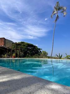 a palm tree and a swimming pool with a palm tree at Santa Elena Ventanas Parapente Bed and Breakfast Premium in Santa Helena